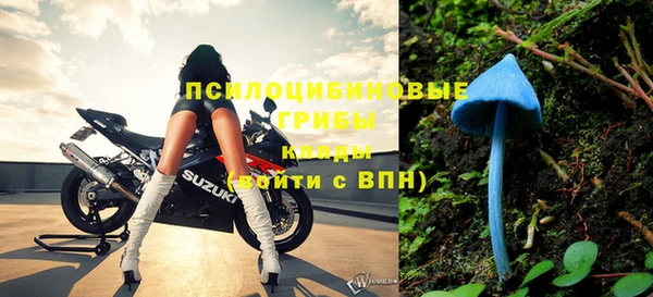 PSILOCYBIN Верхнеуральск