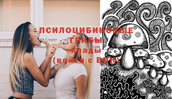 тгк Протвино