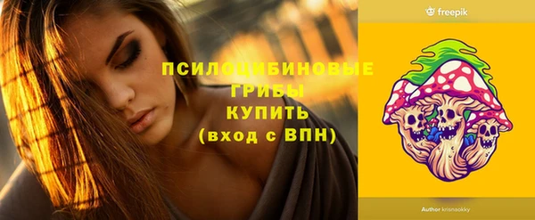 тгк Протвино